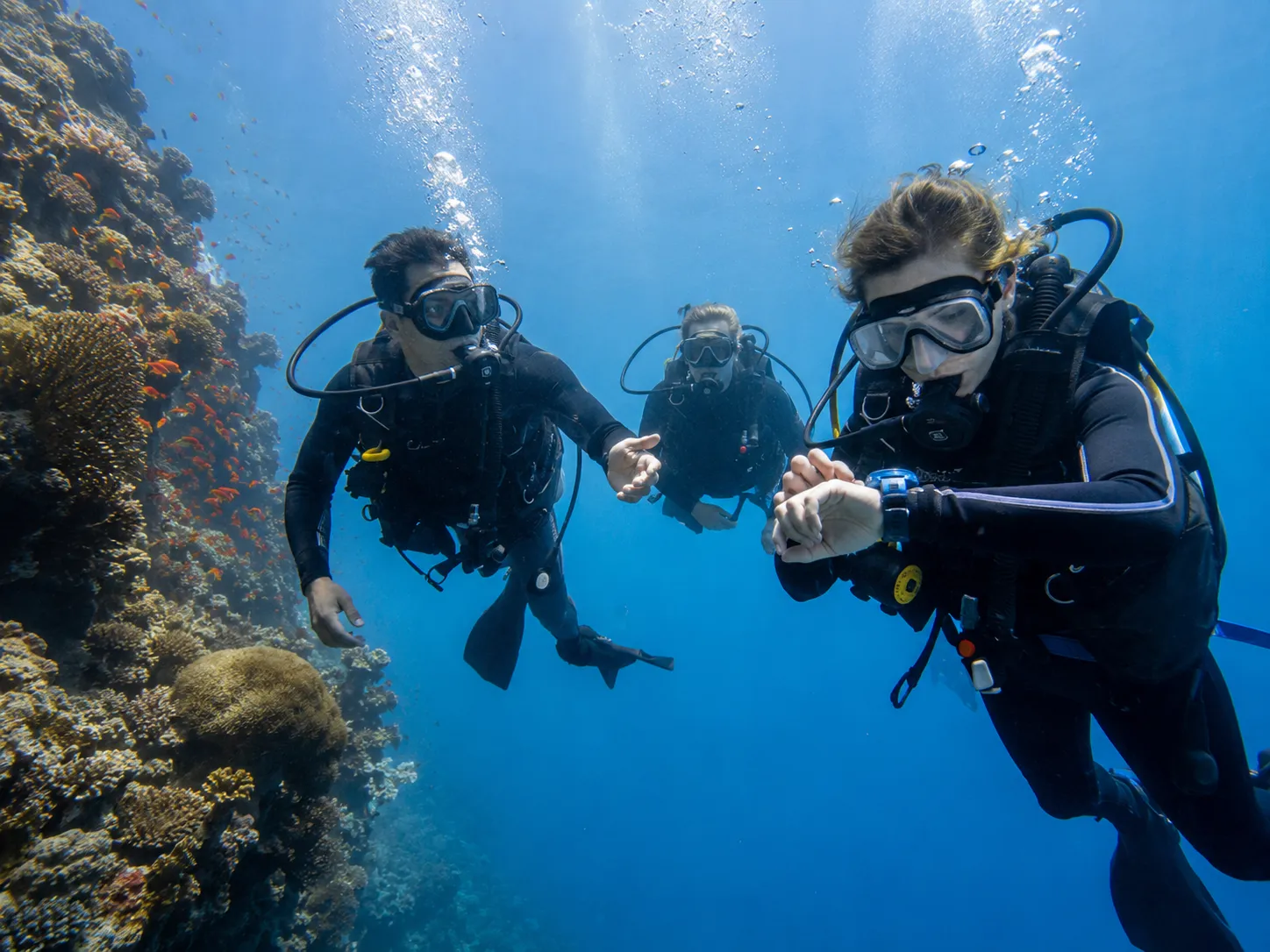 Daily boat diving on a Red Sea reef near Hurghada