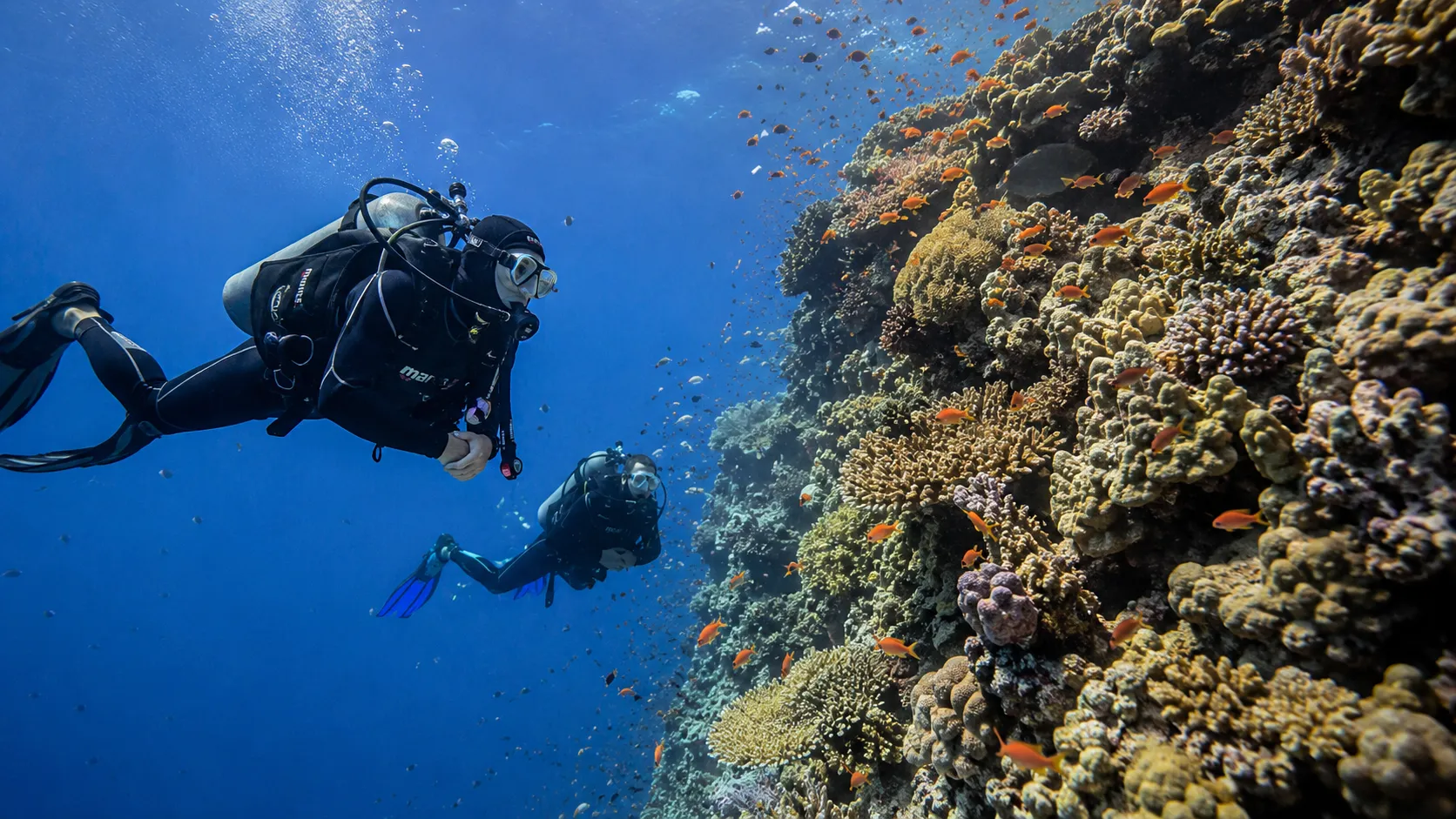 Abu Ramada dive site, Red Sea