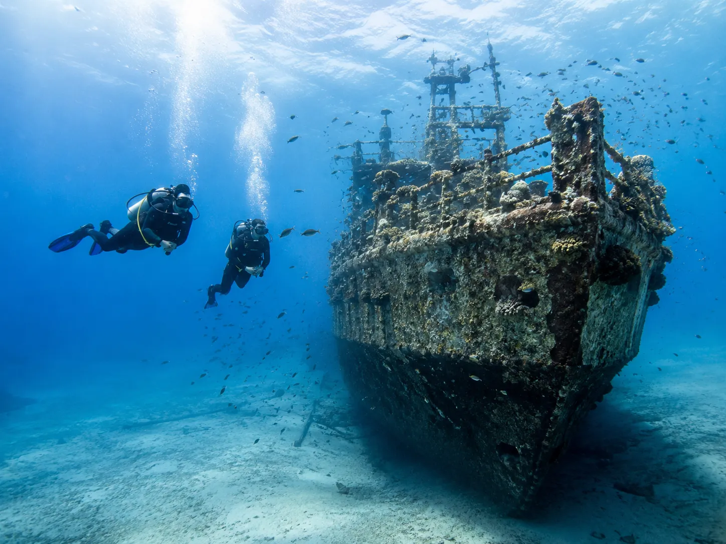 Abu Nuhas dive site, Red Sea